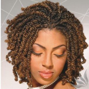 hairstyles for natural black hair twist out