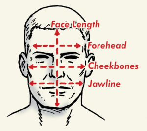 compare the width of your forehead, cheekbones, and jaw