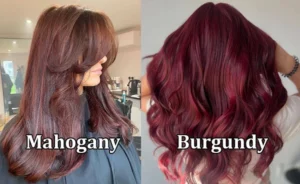 mahogany burgundy
